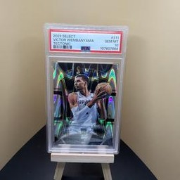 2023-24 Panini (PSA)