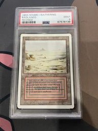 Badlands Magic The Gathering (Trading Cards) (PSA)