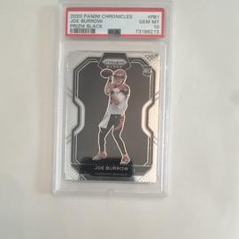 Chronicles Panini (PSA)