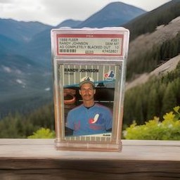 Completely Fleer (PSA)
