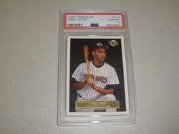 Excel Fleer (PSA)