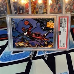 Fanimation Upper Deck (PSA)