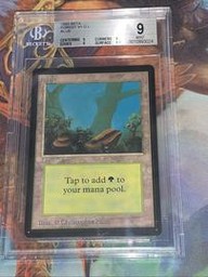 Forest Magic The Gathering (Trading Cards) (BGS)