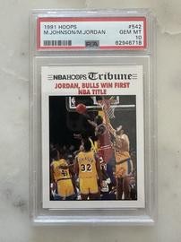 Johnson-Michael Hoops (PSA)