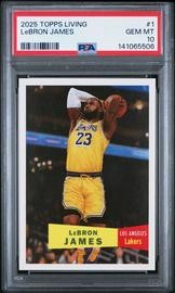 Living LeBron James (PSA)