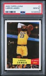 Living LeBron James (PSA)