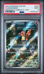 Obsidian Charmander (PSA)