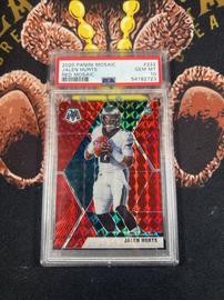 Panini (PSA)