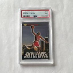 Skylights Upper Deck (PSA)