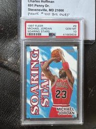 Soaring Fleer (PSA)