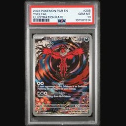 Yveltal Pokemon (Trading Cards) (PSA) (Illustration Rare)